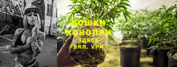 2c-b Пестово