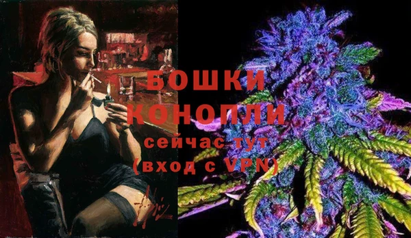 ALPHA-PVP Осинники