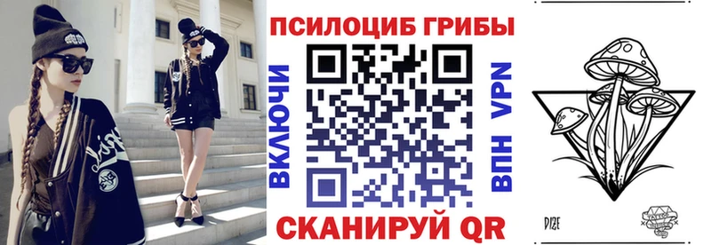 Галлюциногенные грибы мицелий  Власиха 